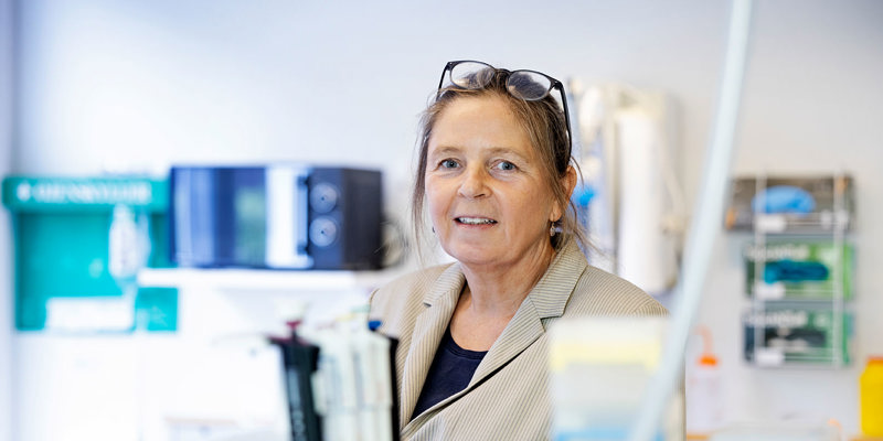 Professor Anne Mette Madsen