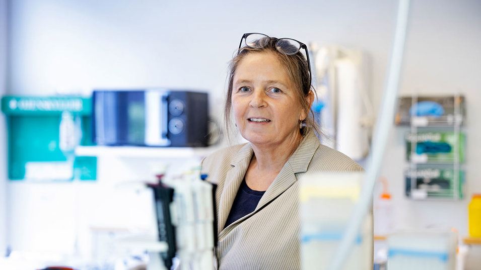 Professor Anne Mette Madsen