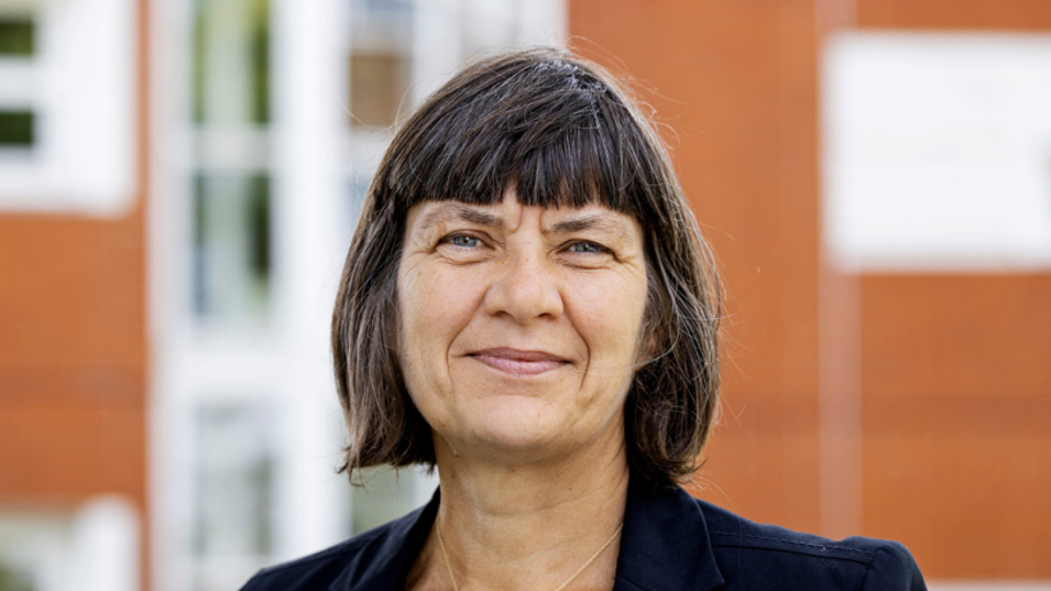 Professor Ulla Vogel