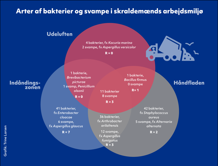 Figur der viser, hvilke arter af bakterier og svampe der findes i skraldemænds arbejdsmiljø