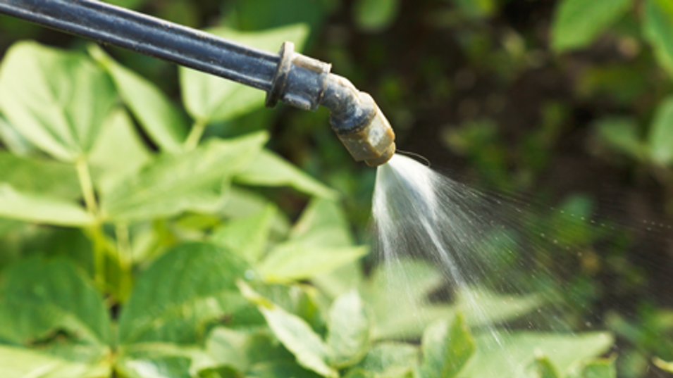 Slange der sprøjter mod skadedyr