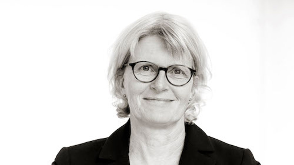 Professor Anne Helene Garde