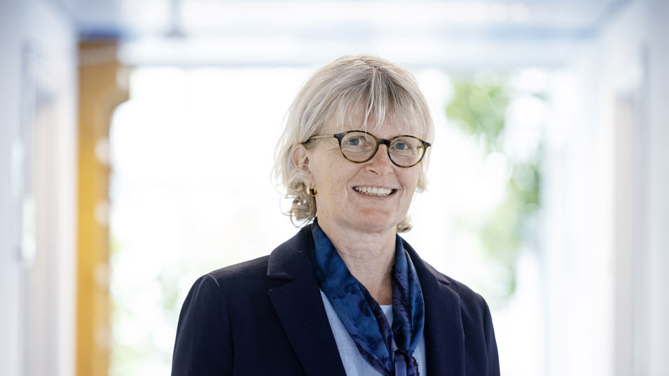 Professor Anne Helene Garde