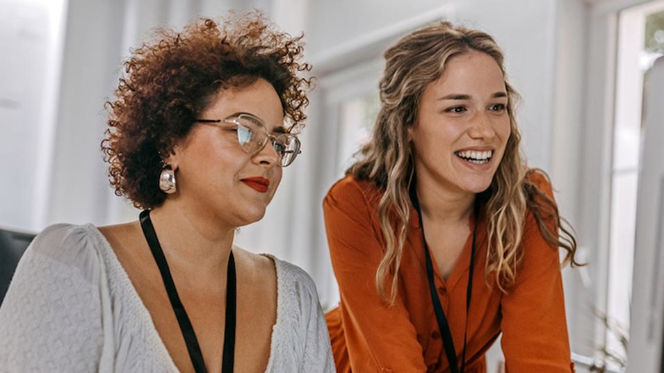 Kollegaer kigger på computerskærm