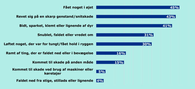 Graf over de hyppigste skader lærlinge har været udsat for.