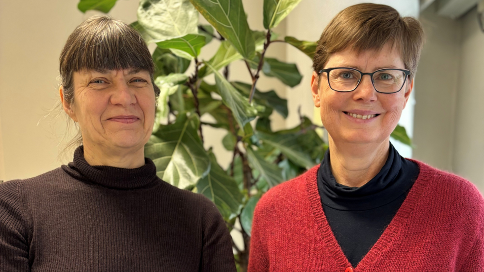 Professor på NFA Ulla Vogel og seniorforsker på NFA Anne Saber