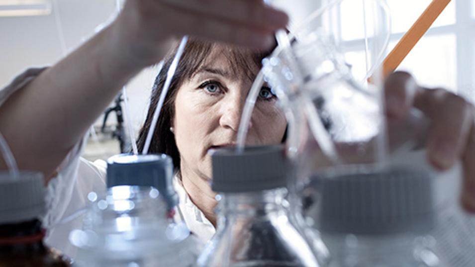 En kvinde der arbejder i et laboratorium