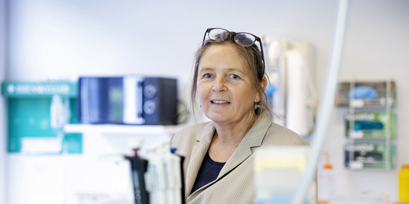 Seniorforsker Anne Mette Madsen