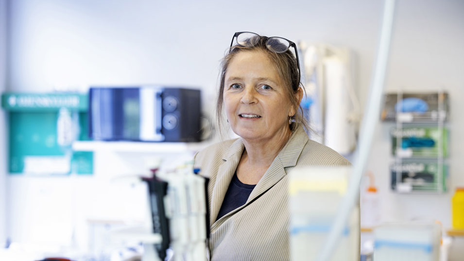 Seniorforsker Anne Mette Madsen