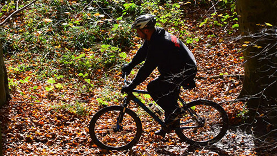 En der cykler i skoven