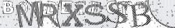 Skriv tegnene du ser i CAPTCHA billedet